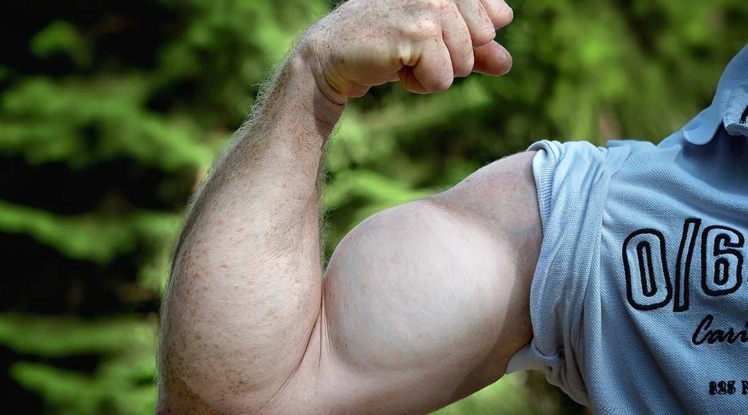 Volume musculaire : quels groupes musculaires travailler en priorité ?