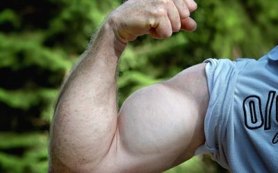 Volume musculaire : quels groupes musculaires travailler en priorité ?